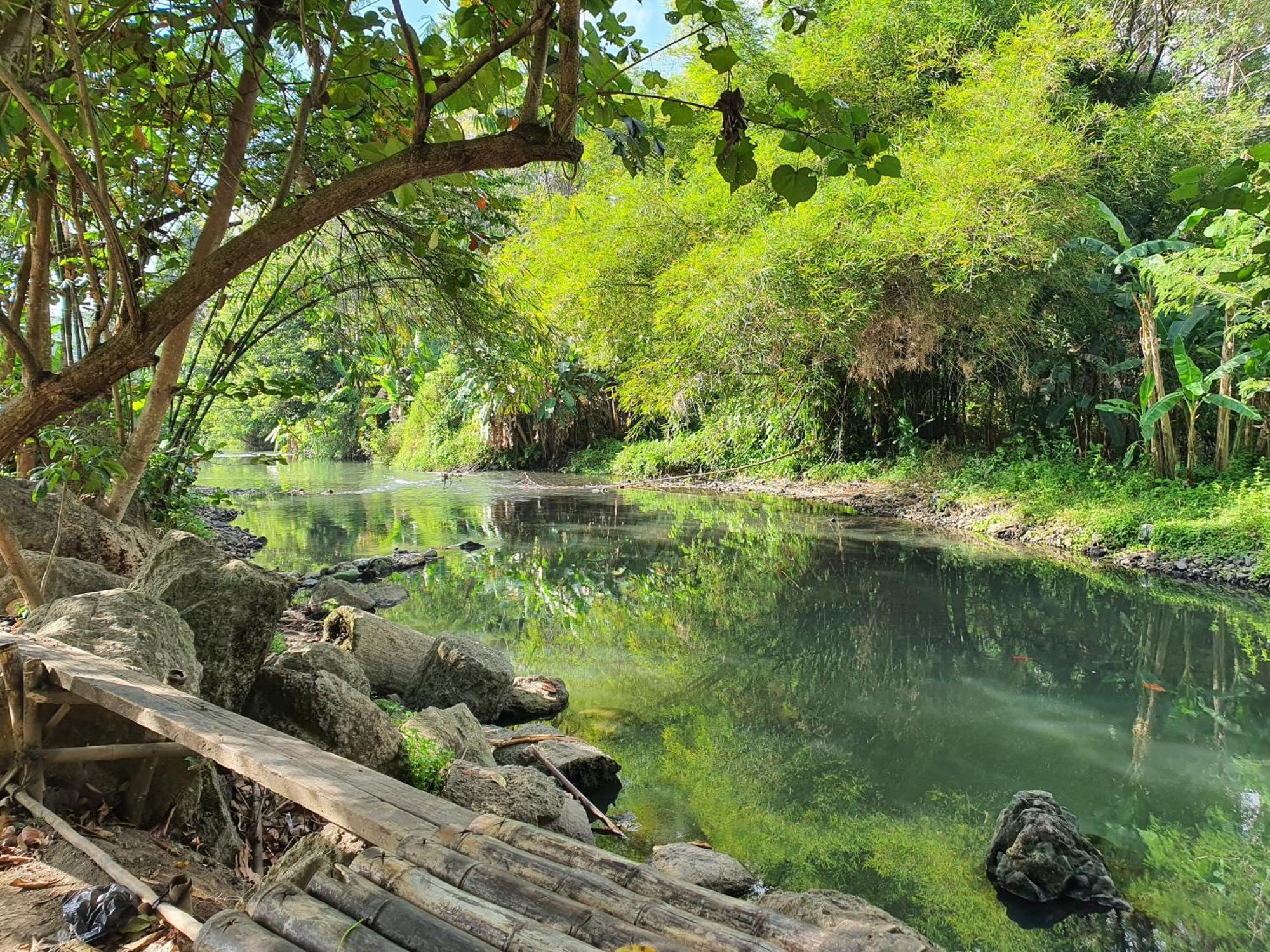 Villa Alicia Maguwo Bagian luar foto
