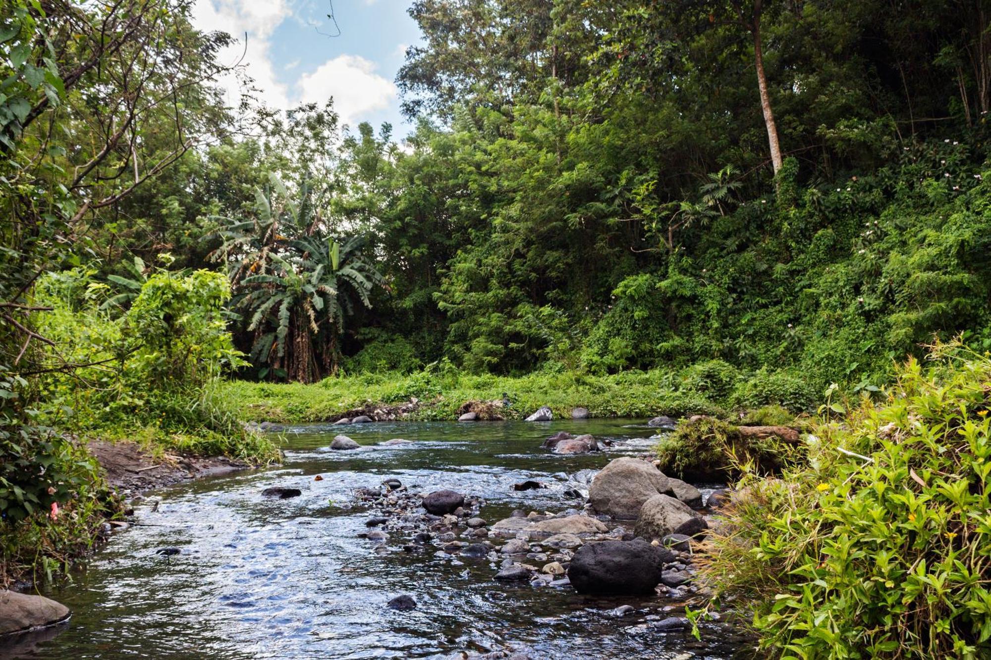 Villa Alicia Maguwo Bagian luar foto